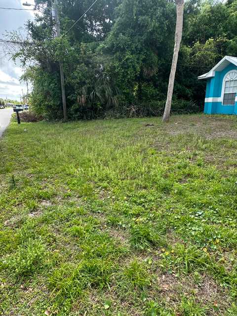 Lawn Care 1 - Before