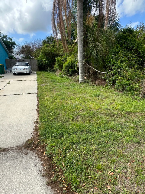 Lawn Care 2 - Before