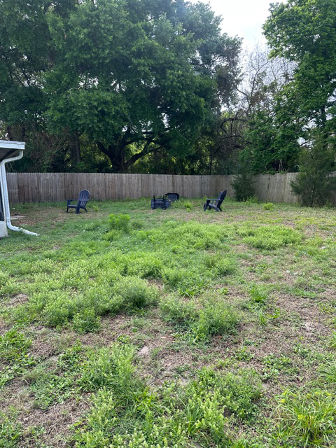 Lawn Care 3 - Before